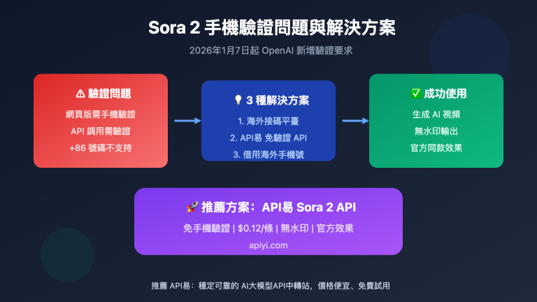 sora 2 phone verification bypass api solution zh hant image 0 图示